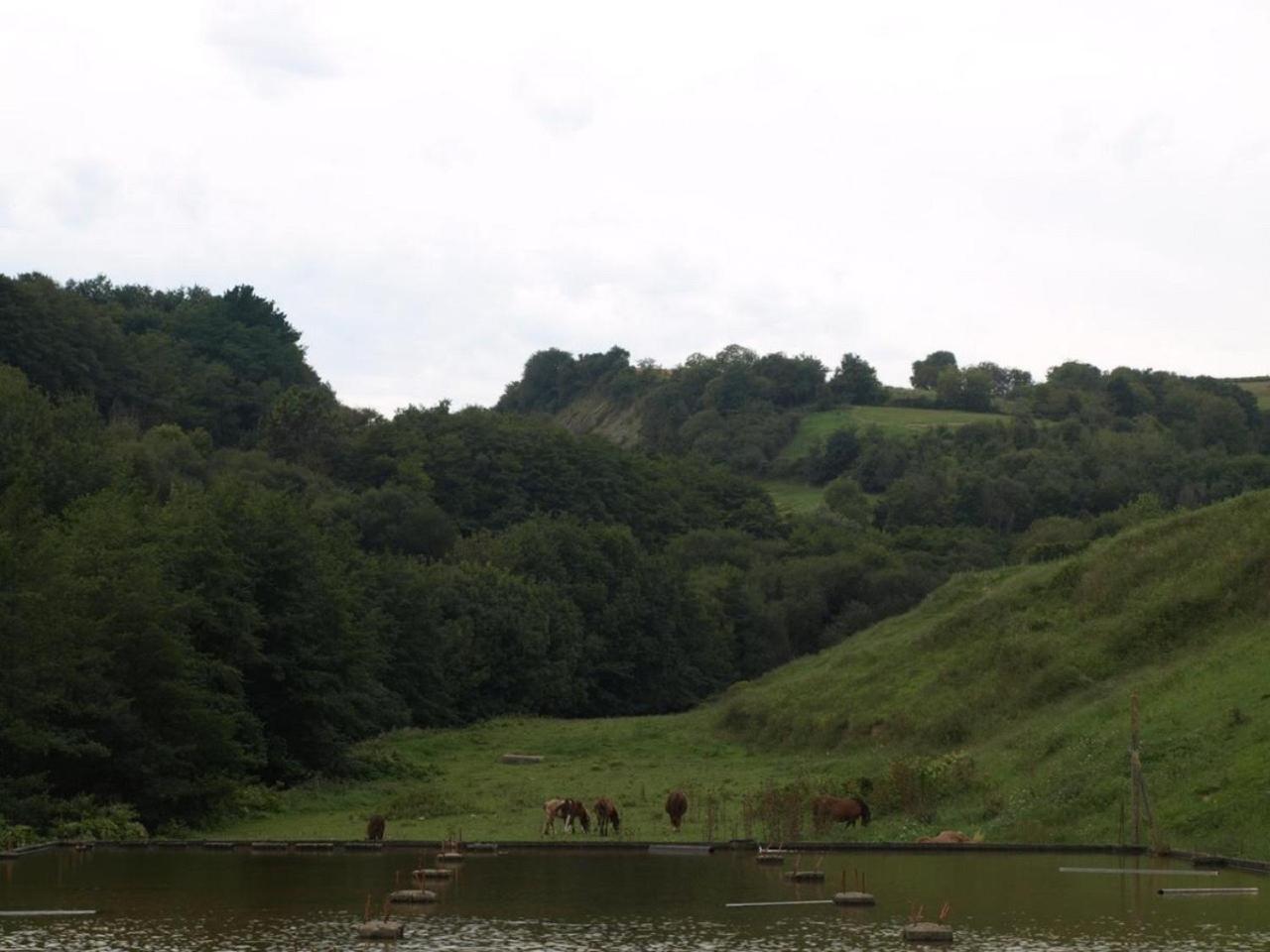 Oribarzar - Vivienda Acogedora En Plena Naturaleza Aia Bagian luar foto